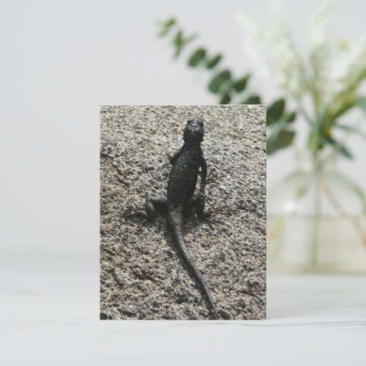 Black Lizard (Staand voorkant)