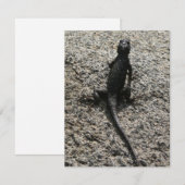 Black Lizard (Voorkant / Achterkant)