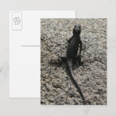 Black Lizard Briefkaart (Voorkant / Achterkant)
