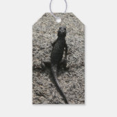 Black Lizard Cadeaulabel (Voorkant)
