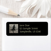 Black Lizard Etiket (Insitu)