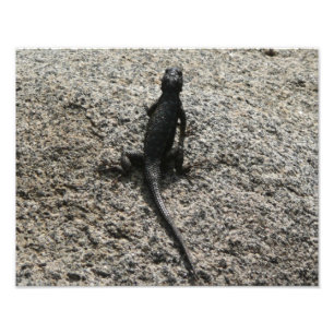 Black Lizard Foto Afdruk