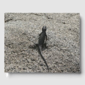 Black Lizard Gastenboek (Voorkant)
