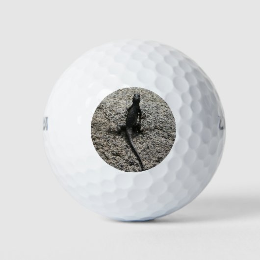 Black Lizard Golfballen (Voorkant)