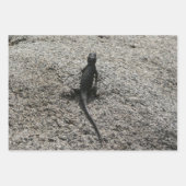 Black Lizard Inpakpapier Vel (Voorkant 2)