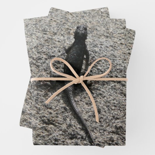 Black Lizard Inpakpapier Vel (In situ)