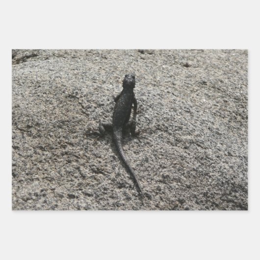 Black Lizard Inpakpapier Vel (Voorkant 3)