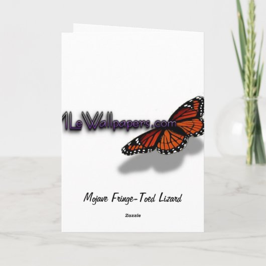 Black Lizard Kaart (Achterkant)