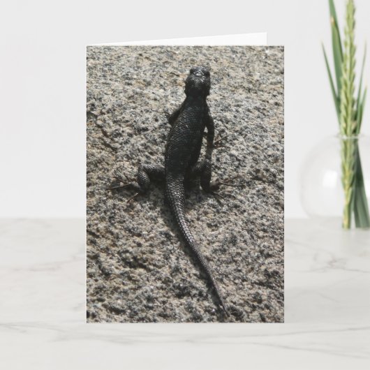 Black Lizard Kaart (Voorkant)