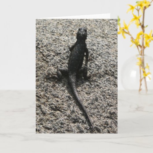 Black Lizard Kaart (Gele Bloem)