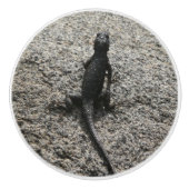 Black Lizard Keramische Knop (Voorkant)