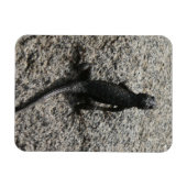 Black Lizard Magneet (Horizontaal)