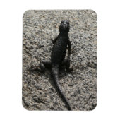Black Lizard Magneet (Verticaal)