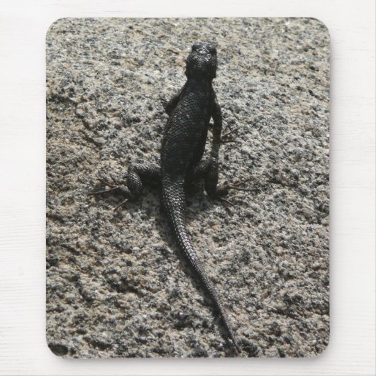 Black Lizard Muismat (Voorkant)
