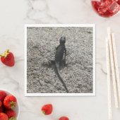 Black Lizard Servet (Insitu)