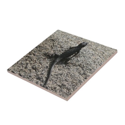 Black Lizard Tegeltje (Zijkant)