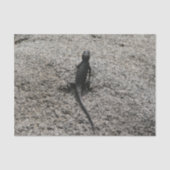 Black Lizard Tissuepapier (Voorkant)