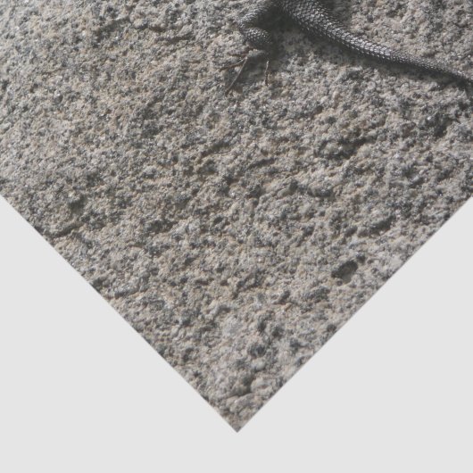 Black Lizard Tissuepapier (Detail)