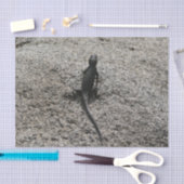 Black Lizard Tissuepapier (Craft)