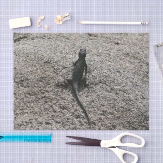 Black Lizard Tissuepapier (Craft)