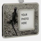 Black Lizard Verzilverd Omlijst Ornament (Rechts)