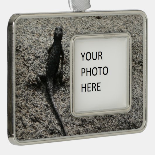 Black Lizard Verzilverd Omlijst Ornament (Rechts)