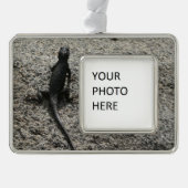 Black Lizard Verzilverd Omlijst Ornament (Voorkant)