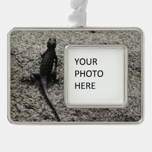 Black Lizard Verzilverd Omlijst Ornament (Voorkant)