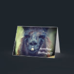 Black Llama Animal Funny Birthday Kaart<br><div class="desc">De zwarte lama staat dicht bij elkaar. Fotografie van boerderijen door Susan. Klik op Aanpassen om tekst toe te voegen en tekengrootte,  stijl en kleur te wijzigen.</div>