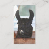 Black Llama Boerderij Animal Visitekaartje (Achterkant)