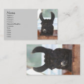 Black Llama Boerderij Animal Visitekaartje (Voorkant / Achterkant)