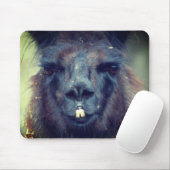 Black Llama Face Animal Muismat (Met muis)