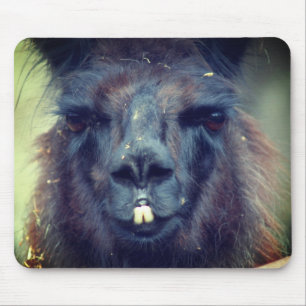 Black Llama Face Animal Muismat