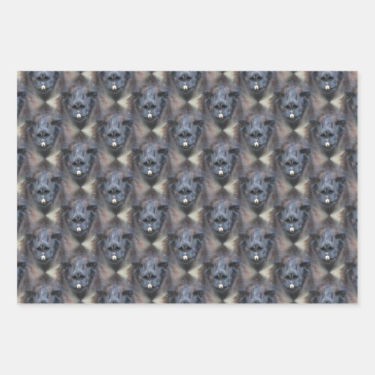 Black Llama Face Natuur Pattern Inpakpapier Vel (Voorkant 2)