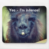 Black Llama I'm Intense Funny Animal Muismat (Voorkant)