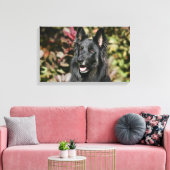Black Long Hazard German Shepherd Canvas Afdruk (Insitu (Woonkamer))