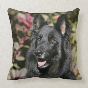Black Long Hazard German Shepherd Kussen