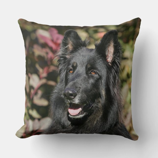 Black Long Hazard German Shepherd Kussen (Voorkant)