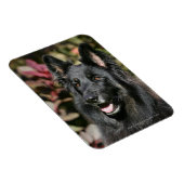 Black Long Hazard German Shepherd Magneet (Rechterzijde)