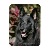 Black Long Hazard German Shepherd Magneet (Verticaal)