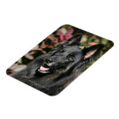Black Long Hazard German Shepherd Magneet (Linkerzijde)