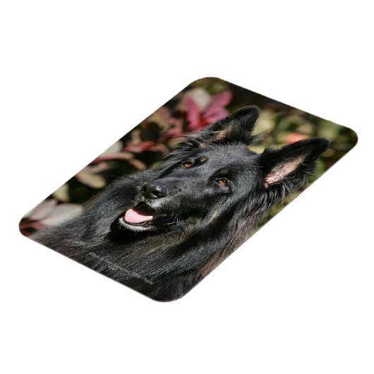 Black Long Hazard German Shepherd Magneet (Linkerzijde)