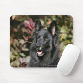Black Long Hazard German Shepherd Muismat (Met muis)