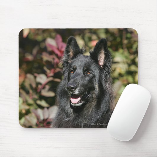 Black Long Hazard German Shepherd Muismat (Met muis)