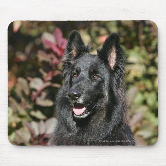 Black Long Hazard German Shepherd Muismat (Voorkant)