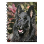 Black Long Hazard German Shepherd Notitieboek (Voorkant)