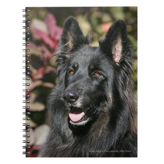Black Long Hazard German Shepherd Notitieboek (Voorkant)