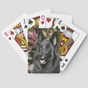 Black Long Hazard German Shepherd Speelkaarten