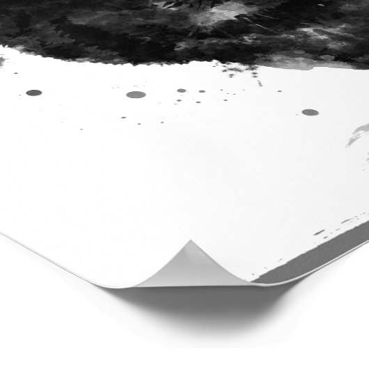 BLACK MAINE COON CAT - POSTER (Hoek)