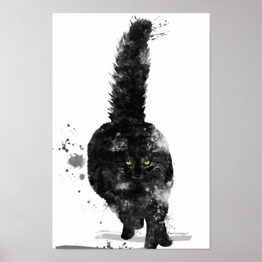 BLACK MAINE COON CAT - POSTER (Voorkant)